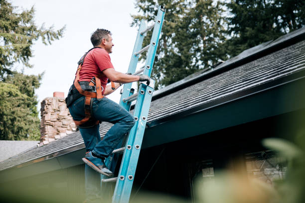 Best Rubber Roofing (EPDM, TPO)  in Daniels, WV